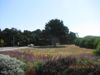 100 E Ocean View Dr photo